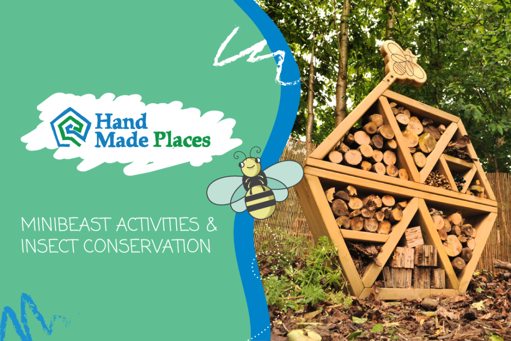 National Insect Week 2018 - Hand Made Places - Minibeast Activities