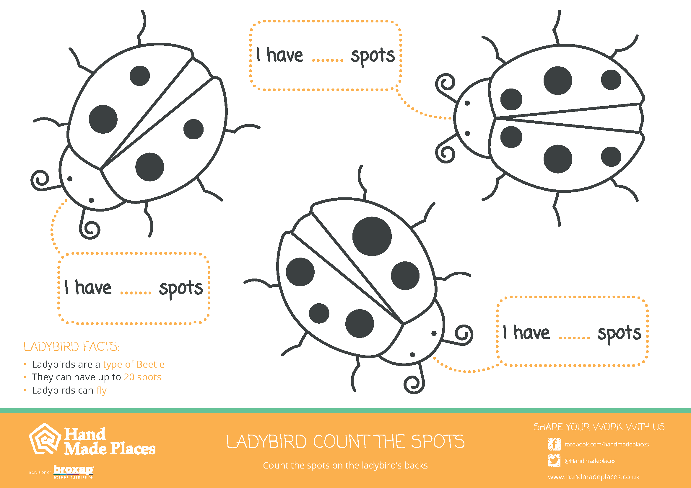 Ladybird Spot Worksheet