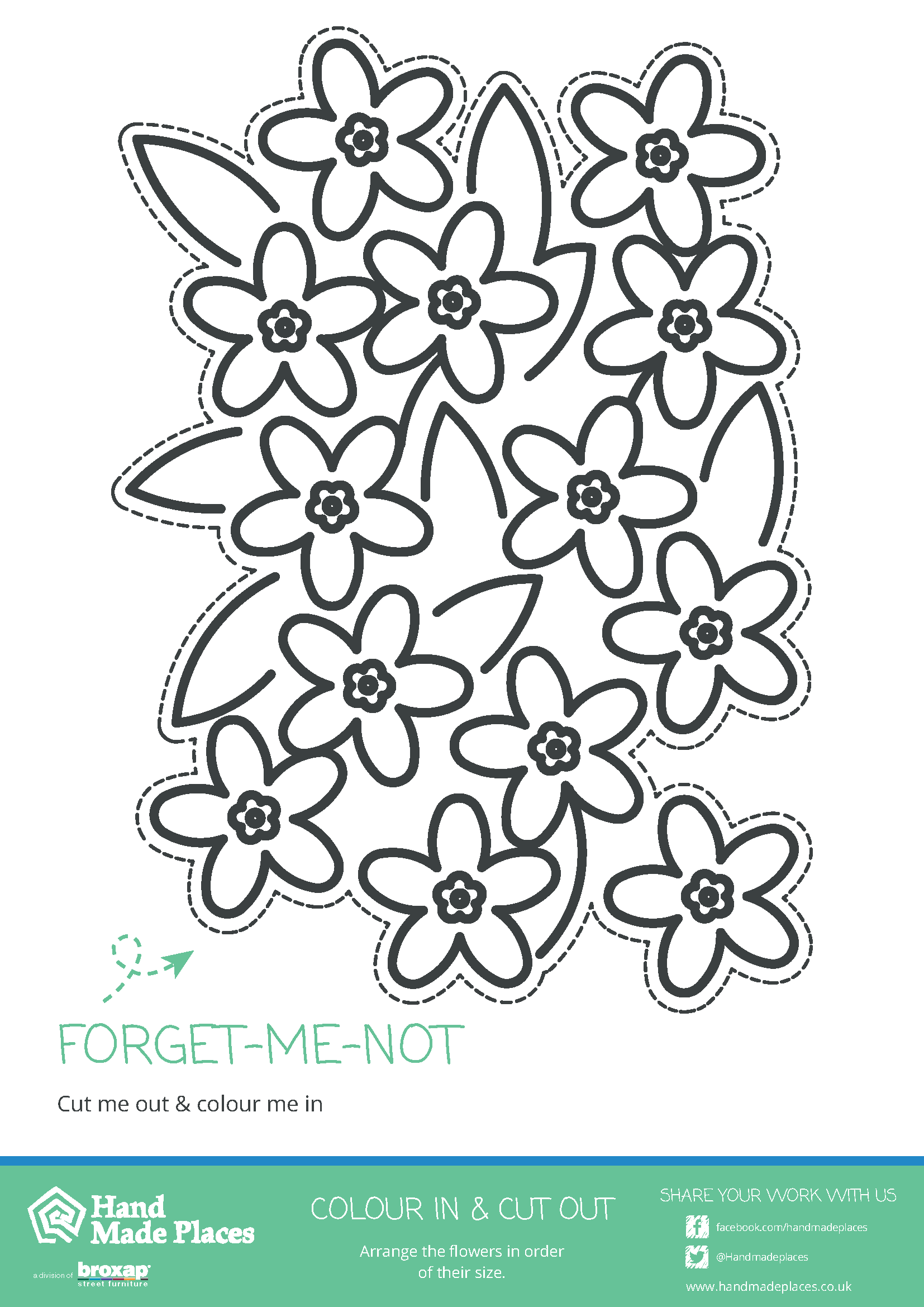 Forget-me-not Colour and Cut